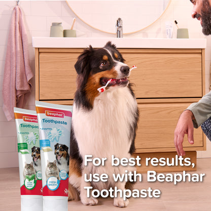 Beaphar Toothbrush for Dog & Cat