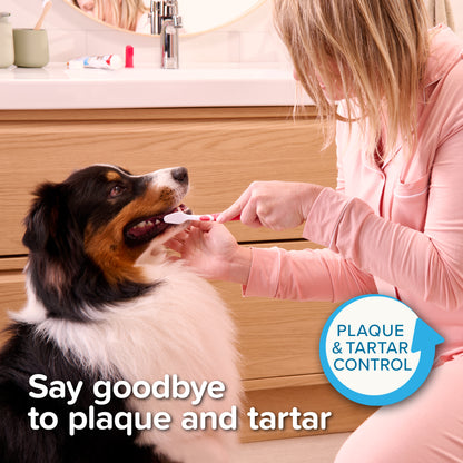 Beaphar Toothbrush for Dog & Cat