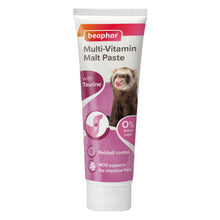 Beaphar Vitamin/Malt Paste For Ferrets