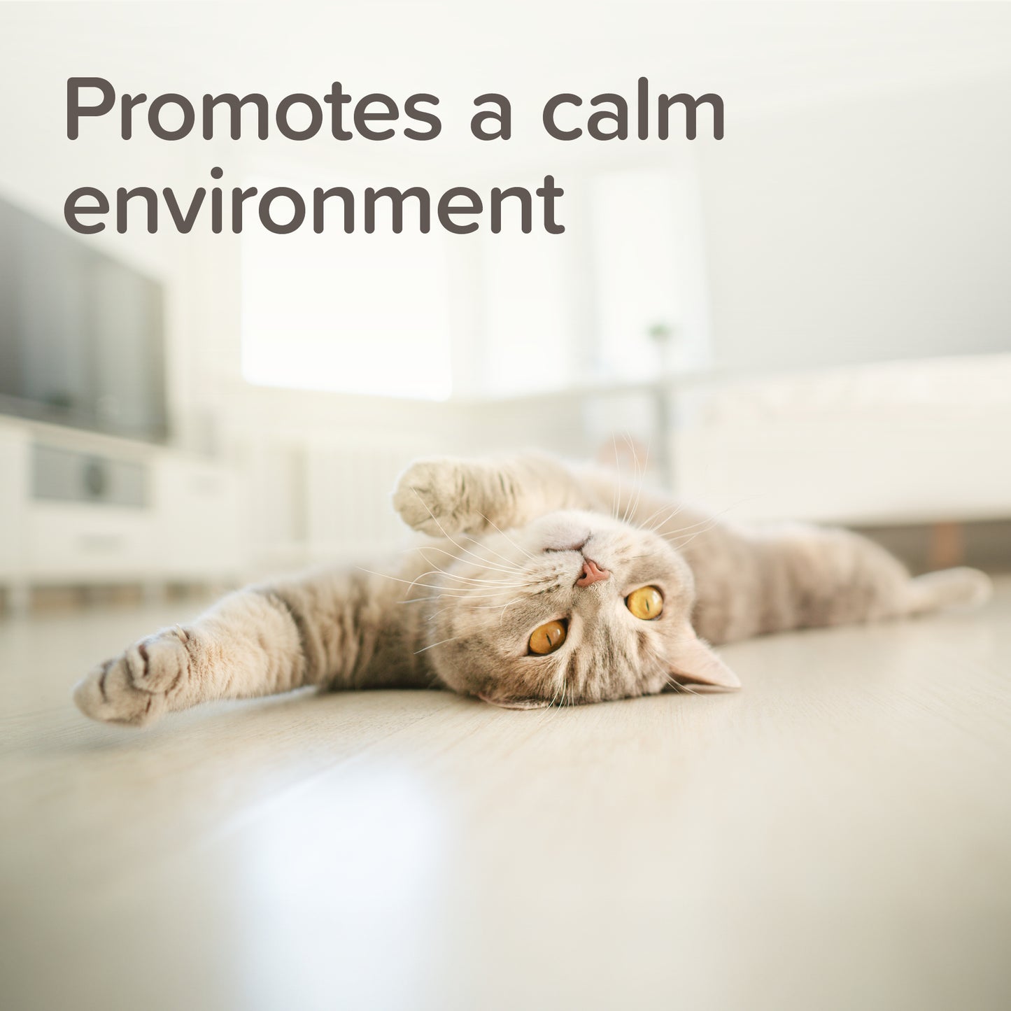 Beaphar Calming Home Spray