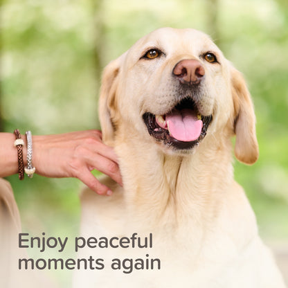 Beaphar Calming Home Spray