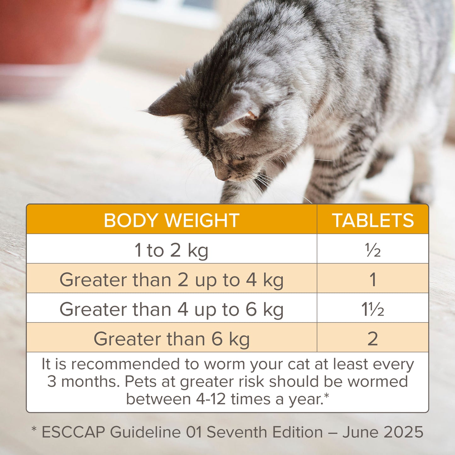 Beaphar WORMclear Cat Tablets