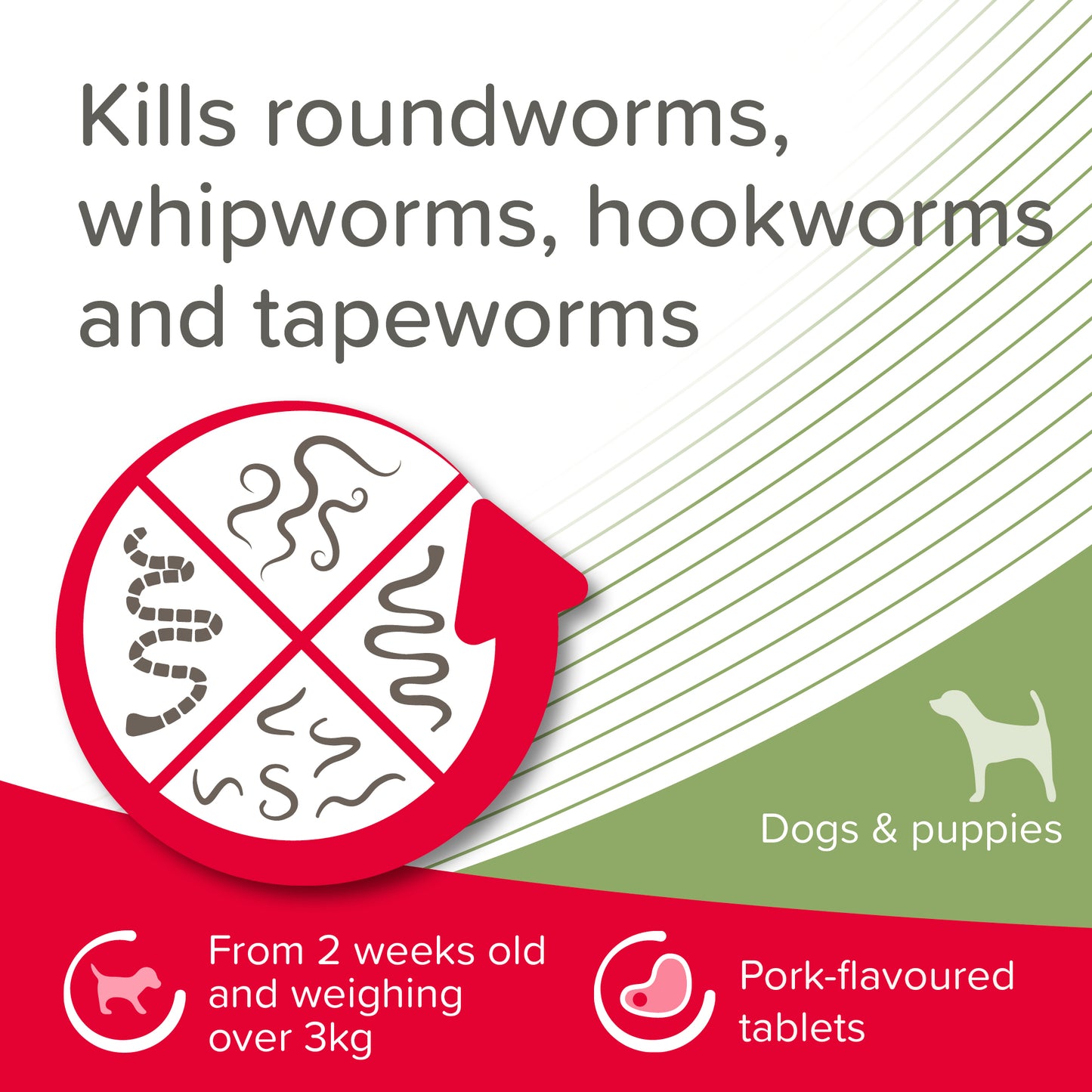 Beaphar WORMclear for Large Dog upto 40kg