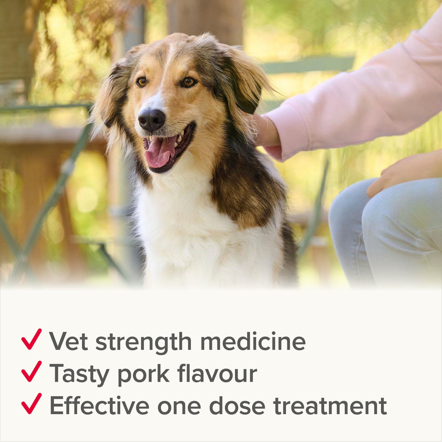 Beaphar WORMclear for Large Dog upto 40kg