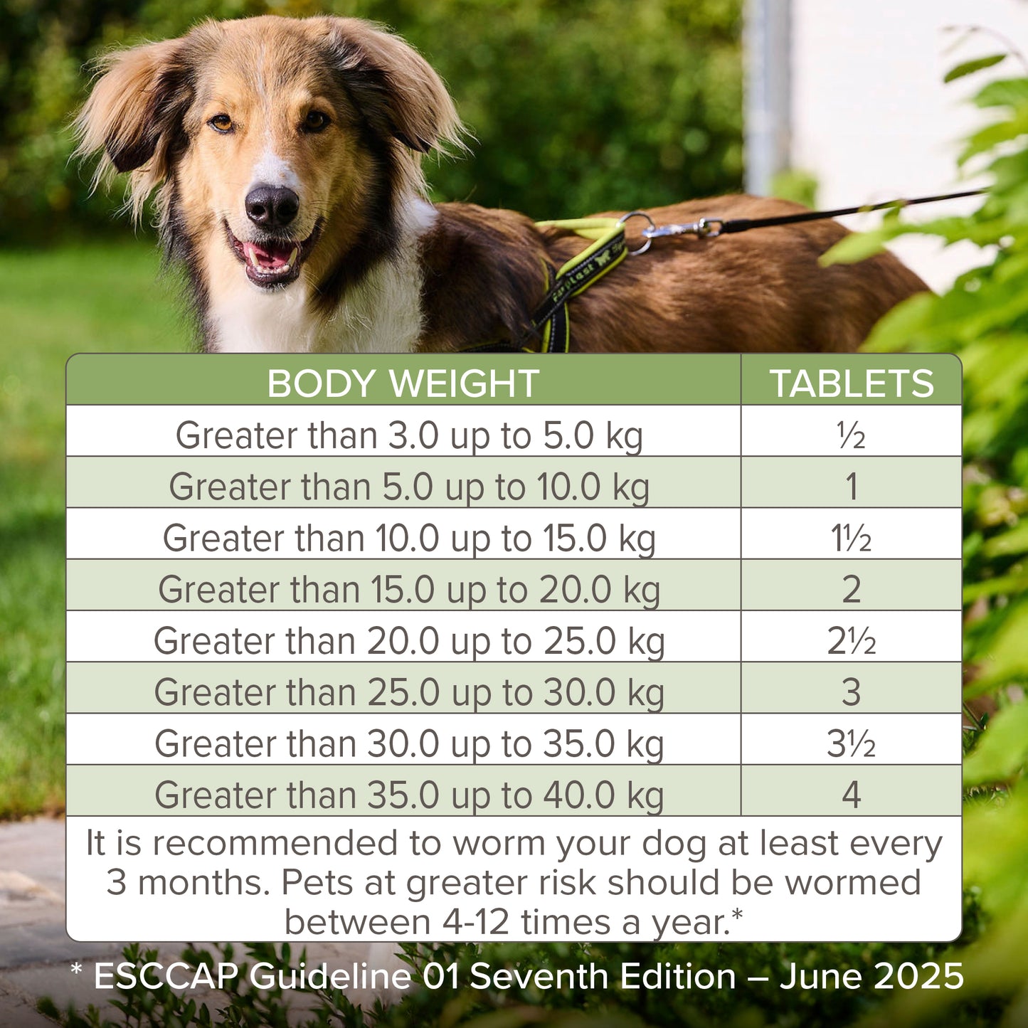 Beaphar WORMclear for Large Dog upto 40kg