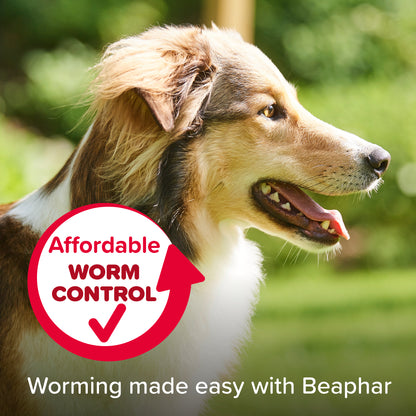 Beaphar WORMclear for Large Dog upto 40kg