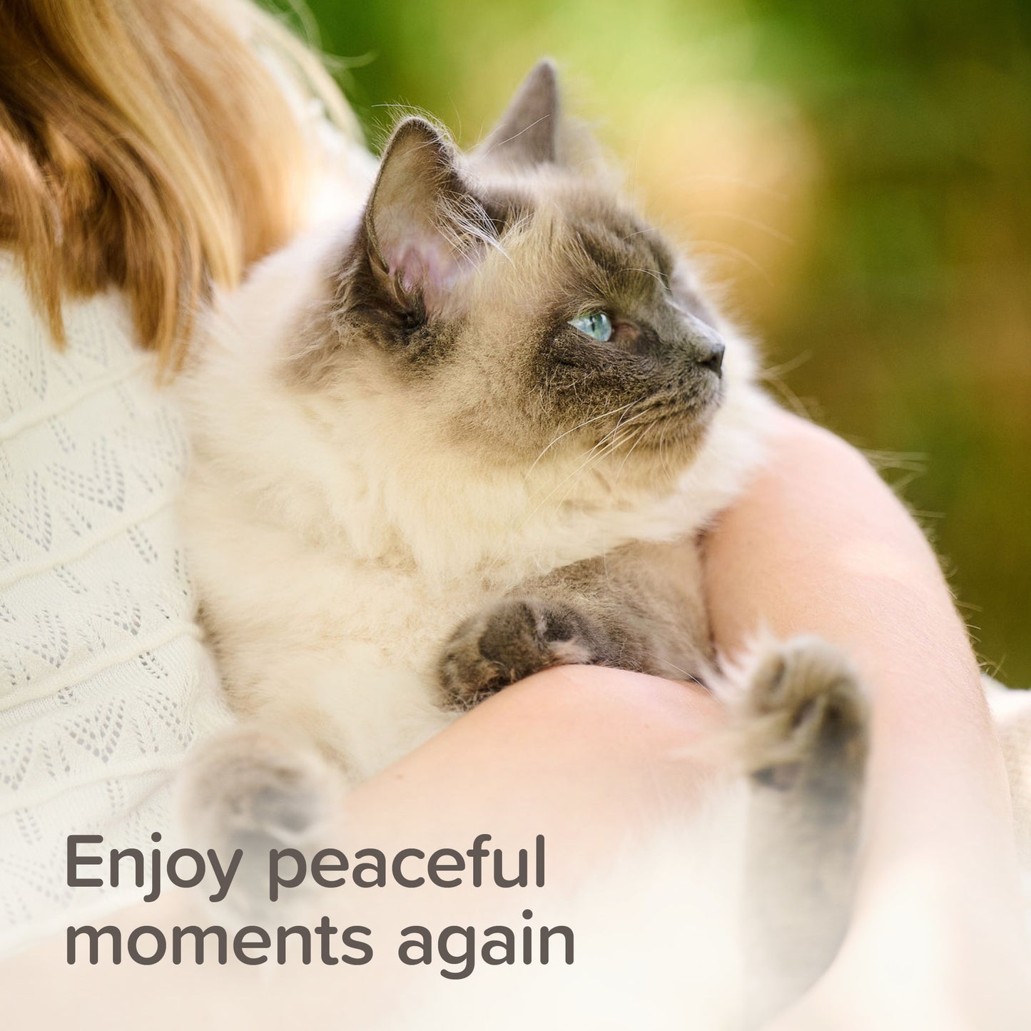 Beaphar Calming Spot-On Cat