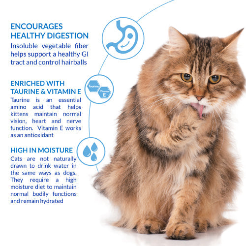 Ciao Churu Hairball Control 4 Pack Cat Treat - Chicken Recipe - 4 x 14g