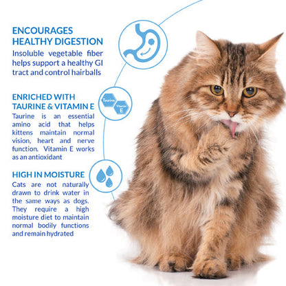 Ciao Churu Hairball Control 4 Pack Cat Treat - Chicken Recipe - 4 x 14g