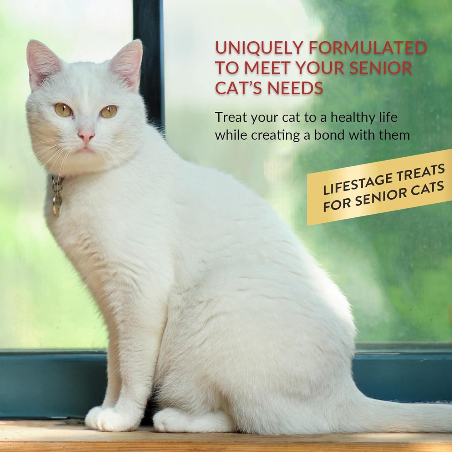 Ciao Churu 4 Pack Senior Cat Treat - Tuna Recipe - 4 x 14g