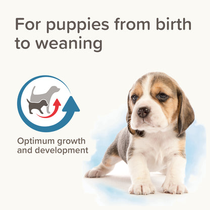 Beaphar Lactol Puppy Milk