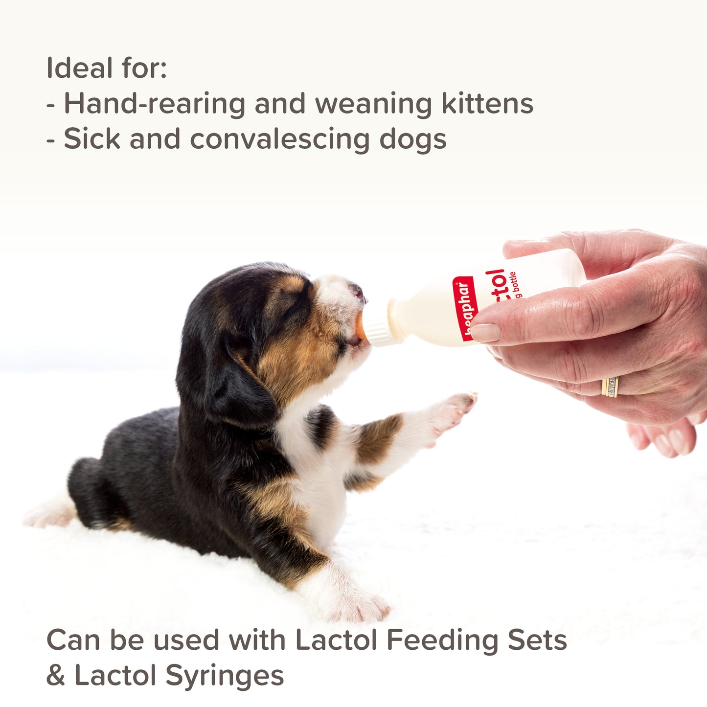 Beaphar Lactol Puppy Milk