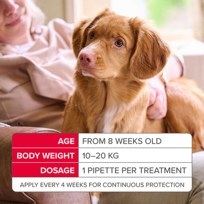 Beaphar Fiprotec Spot On Medium Dog Pipettes