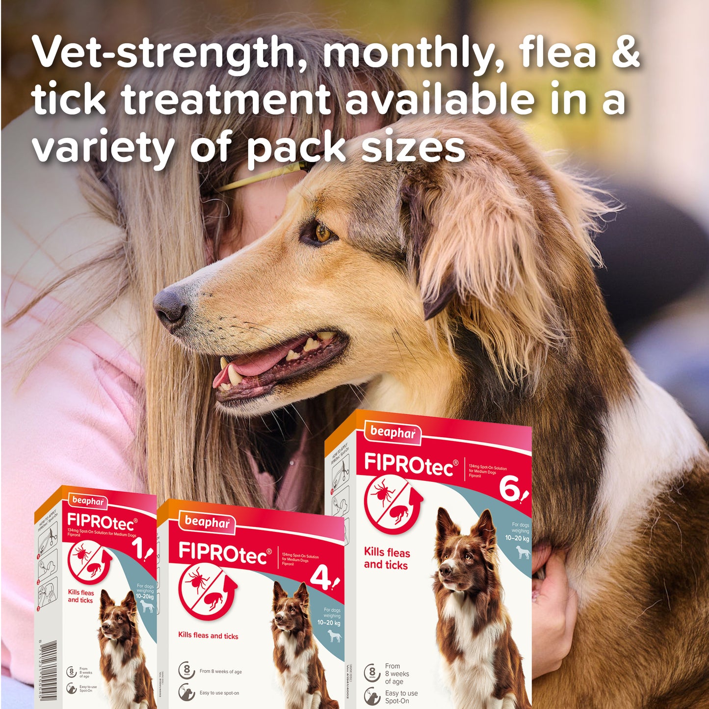 Beaphar Fiprotec Spot On Medium Dog Pipettes