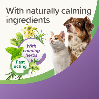 Beaphar Calming Tablets
