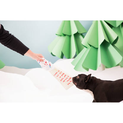 BARK Christmas Letter To Santa Paws Dog Toy - One Size