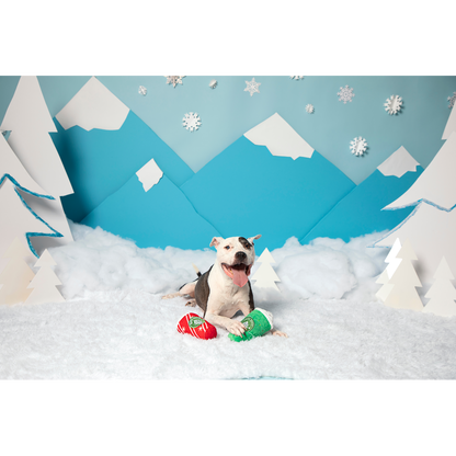 BARK Christmas Fa-la-la-la Lattes Dog Toy - One Size