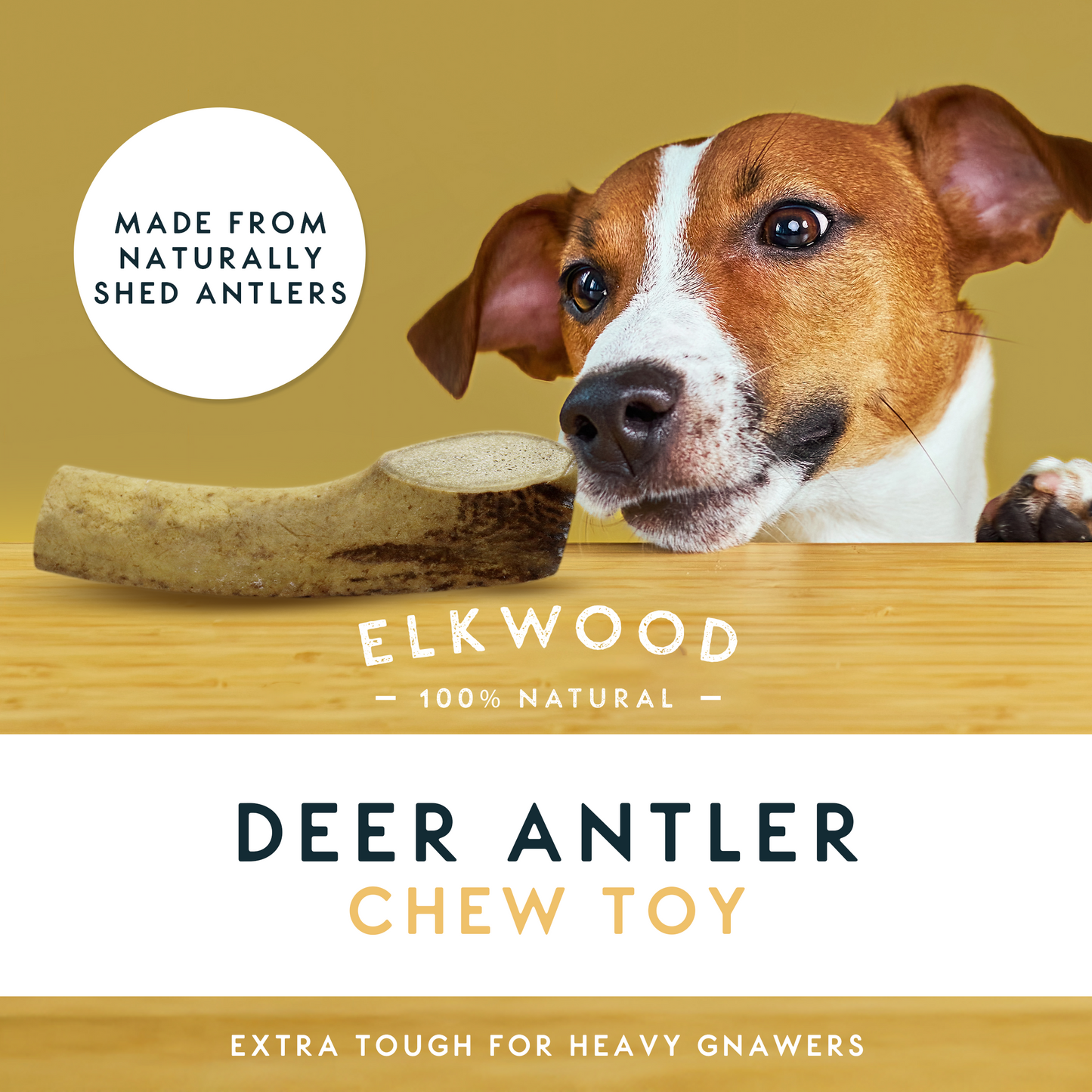Elkwood 100% Natural Split Antler Chew | Medium