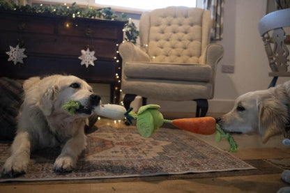 Petface Foodie Faces Christmas Veggie Tugger Dog Toy