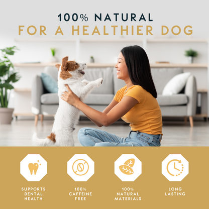 Elkwood Coffee Wood Knot & Ball Dog Toy