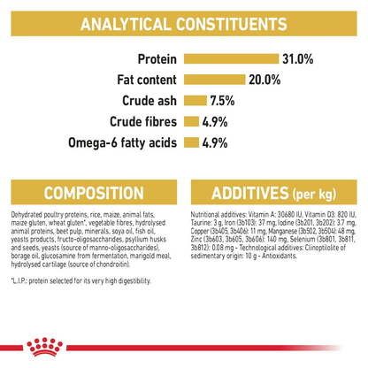 Royal Canin Maine Coon Adult Dry Cat Food - 400g