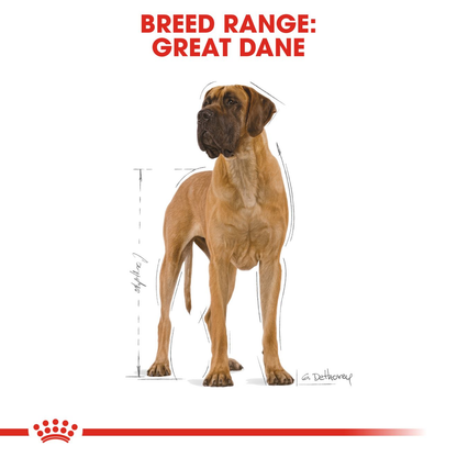 Royal Canin Great Dane Adult Dry Dog Food - 12kg