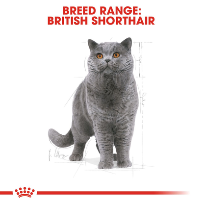 Royal Canin British Shorthair Adult Dry Cat Food - 400g