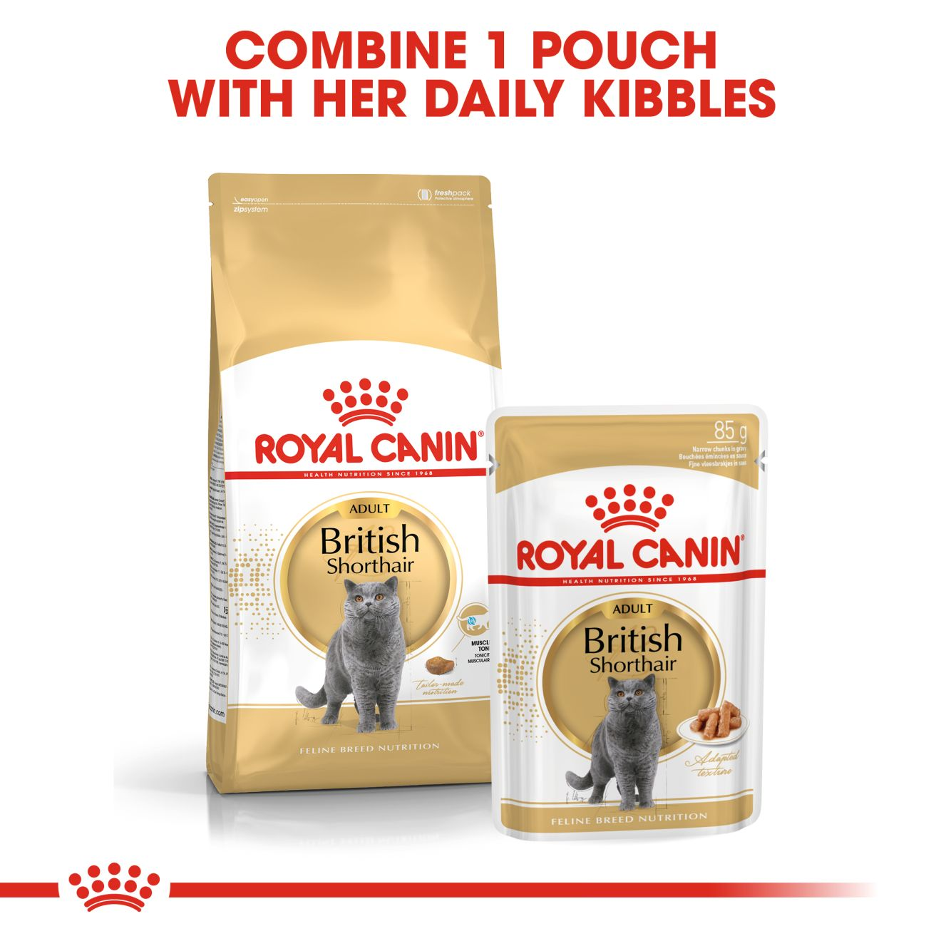 Royal Canin British Shorthair Adult Dry Cat Food - 400g