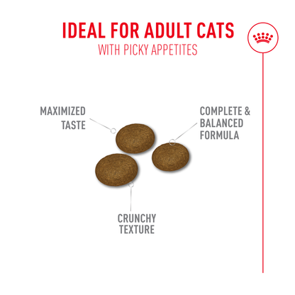 Royal Canin Fussy Adult Dry Cat Food - 50g, 400g, 2kg, 4kg & 10kg