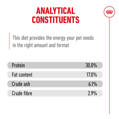 Royal Canin Ageing 11+ Senior Dry Cat Food - 400g, 2kg & 4kg