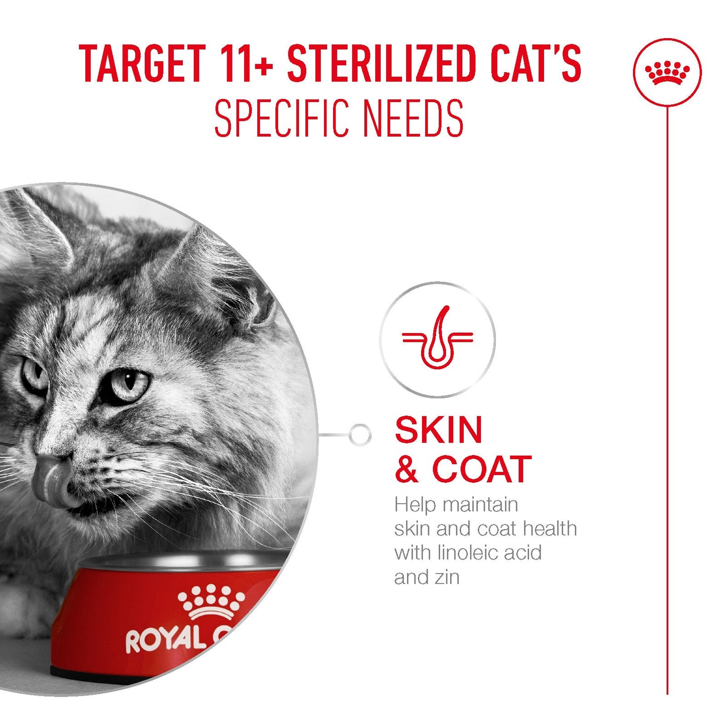 Royal Canin Sterilised Ageing 11+ Senior Dry Cat Food - 400g, 2kg & 4kg