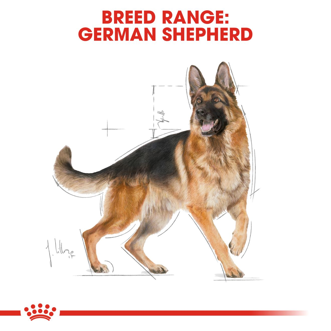Royal Canin German Shepherd Adult Dry Dog Food - 15kg