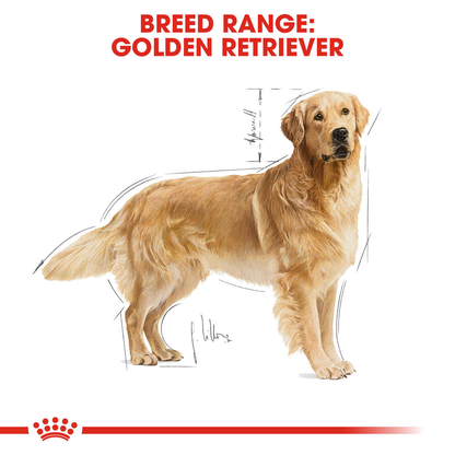 Royal Canin Golden Retriever Adult Dry Dog Food - 15kg