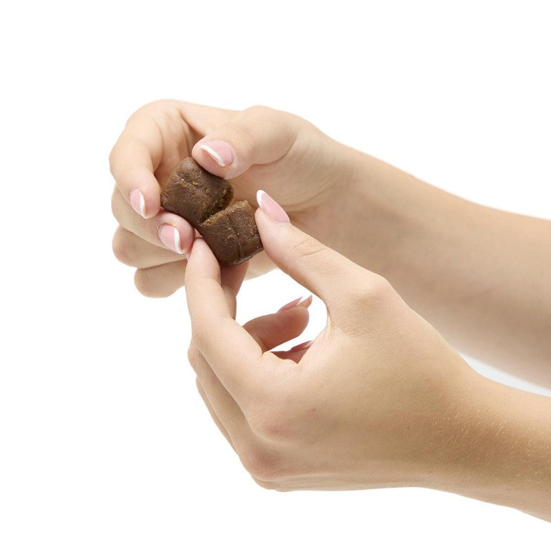 Pill Partners Venison Pill Assist Dog Treat