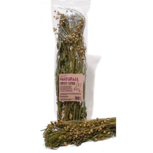 Naturals Harvest Festival Small Animal Treats