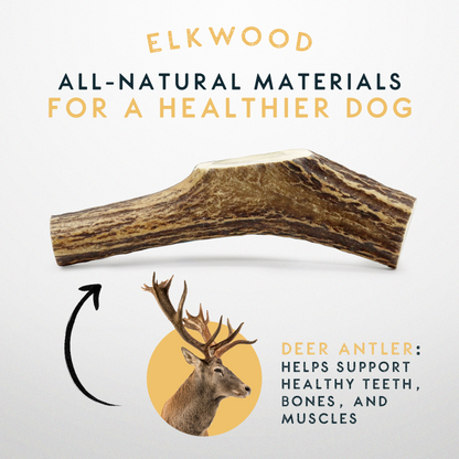 Elkwood 100% Natural Split Antler Chew | Large