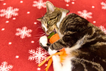 Petface Foodie Faces Christmas Carrot Teaser Cat Toy