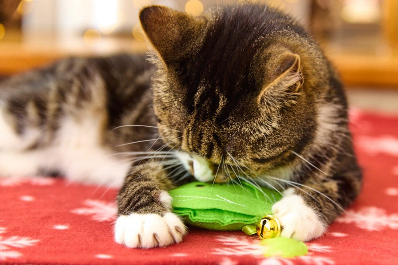 Petface Foodie Faces Christmas Felt Sprout Cat Toy