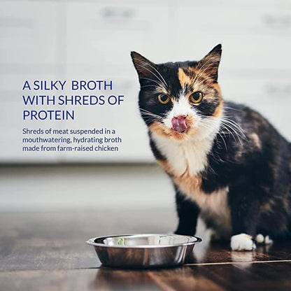 Ciao Broth Wet Cat Food - Chicken & Tuna Recipe - 40 g