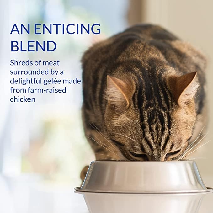 Ciao Stew Wet Cat Food - Chicken & Tuna Recipe - 40 g