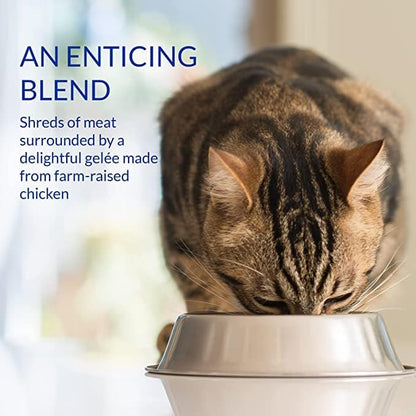 Ciao Stew Wet Cat Food - Chicken & Tuna Recipe - 40 g