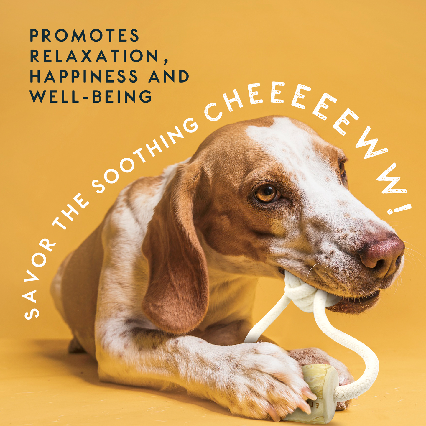 Elkwood Coffee Wood Ball & Chew Dog Toy