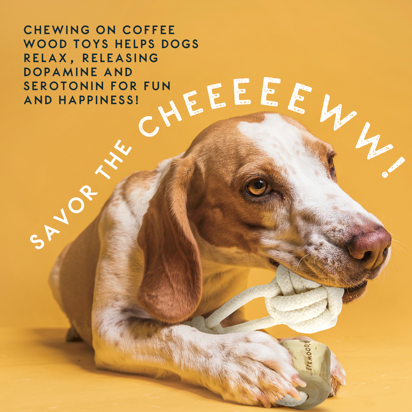 Elkwood Coffee Wood Knot & Ball Dog Toy