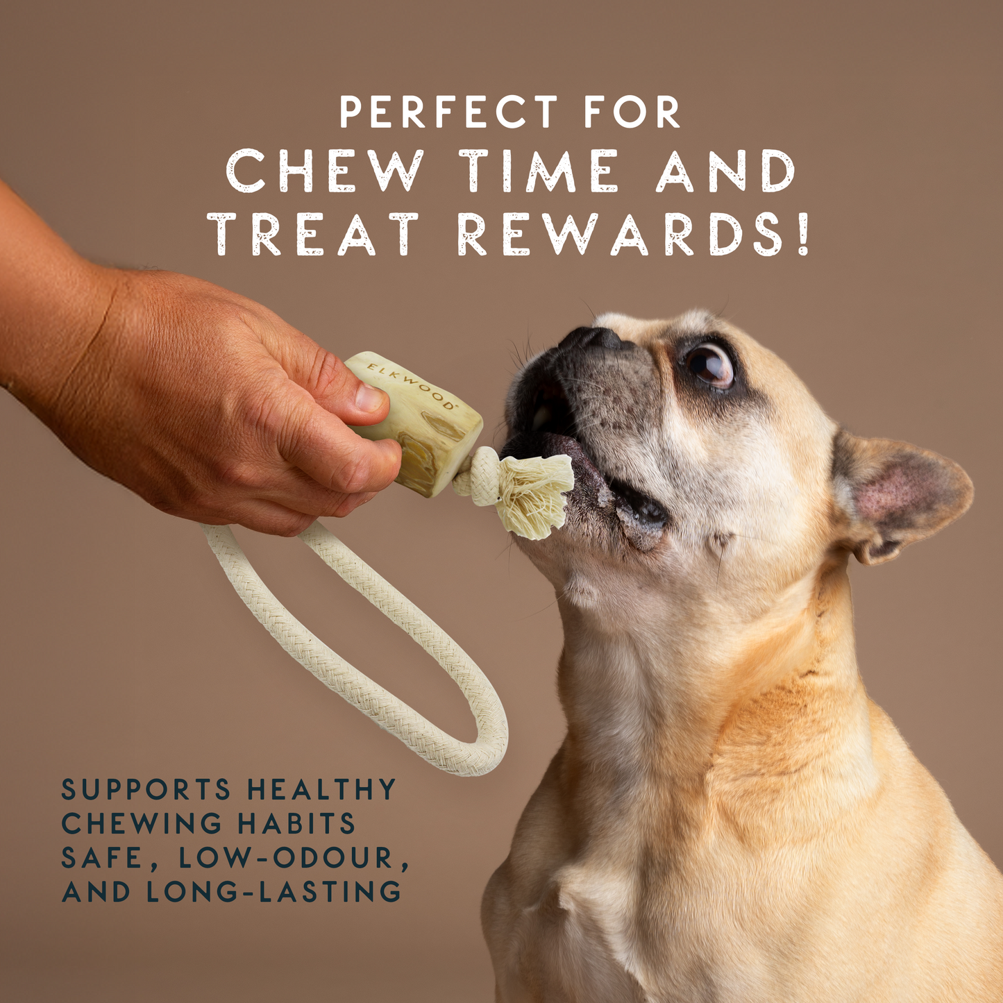 Elkwood Coffee Wood Rope Dog Toy