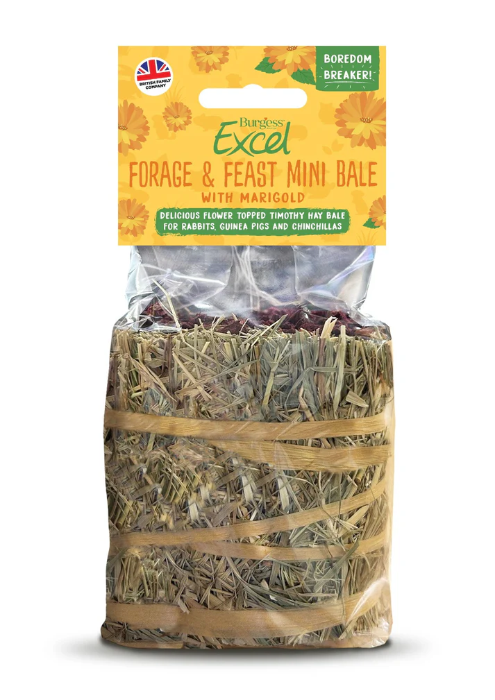 Front View of Burgess Excel Forage and Feast Mini Hay Bale for Rabbit, Guinea Pigs & Chinchilla - Marigold - 100g