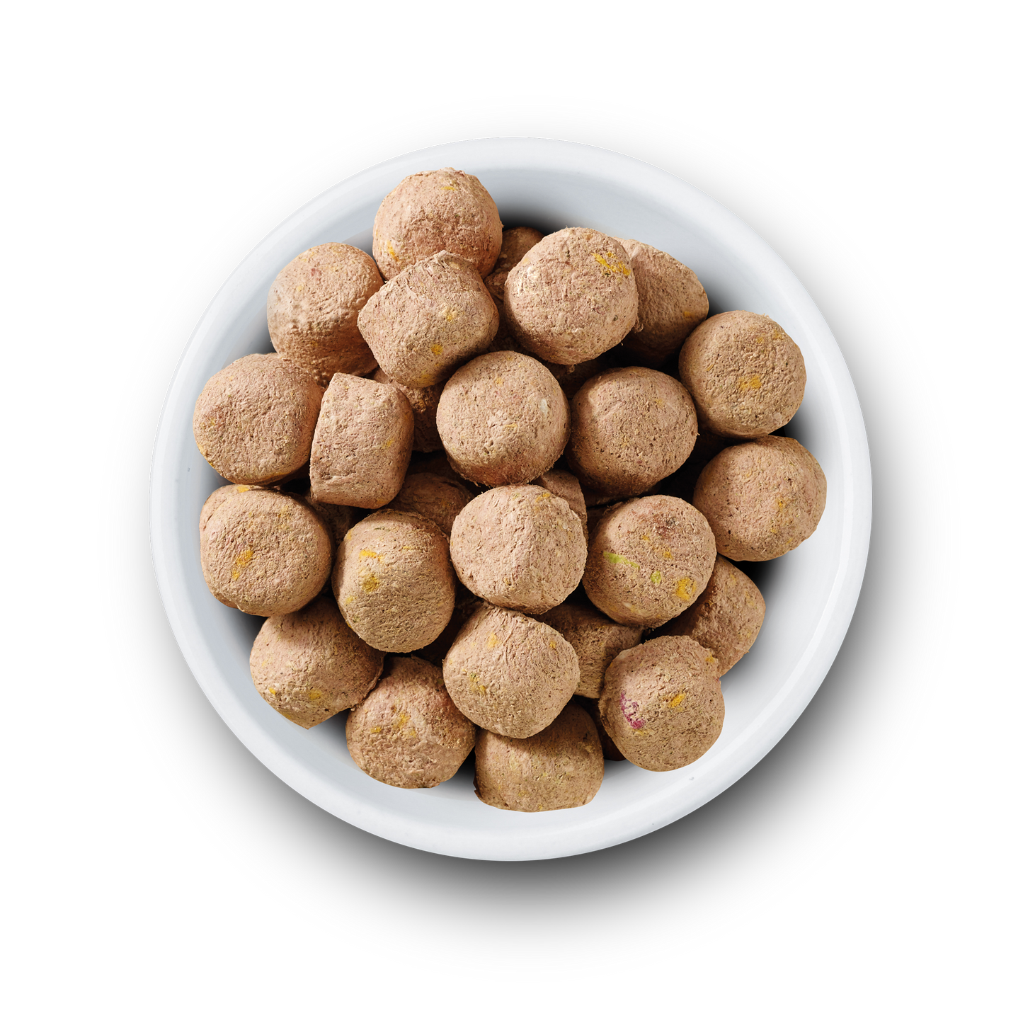 Nature's Variety Complete Freeze Dried Adult Dry Dog Food - Beef