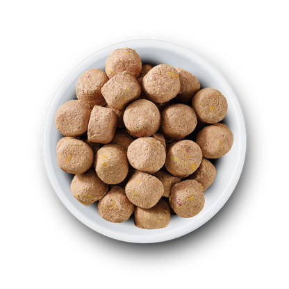 Nature's Variety Complete Freeze Dried Adult Dry Dog Food - Beef