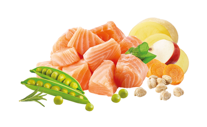 Natures Menu High in Meat with Salmon Adult Dry Cat Food