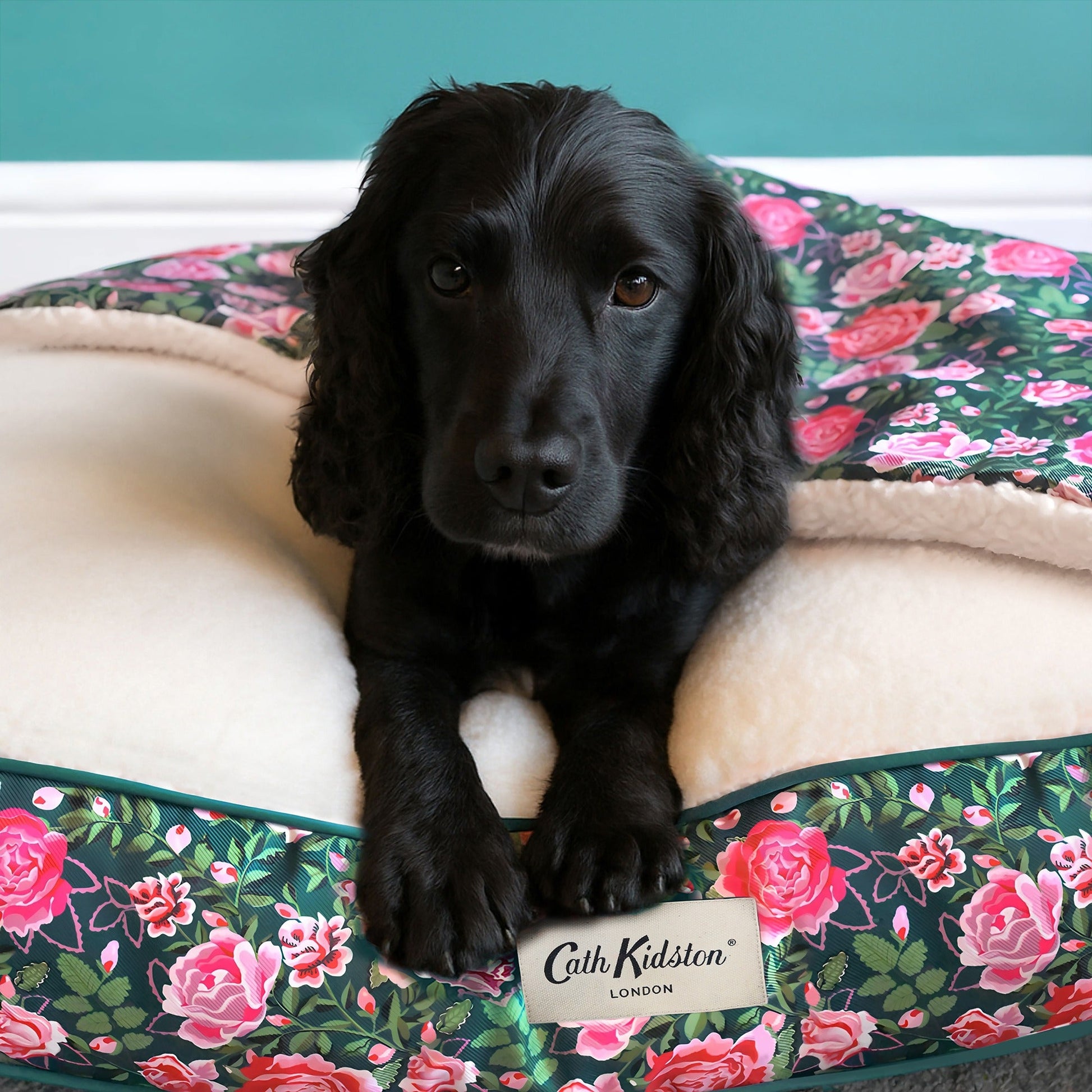 Cath Kidston Dolly Rose Pet Blanket - 100 x 120cm