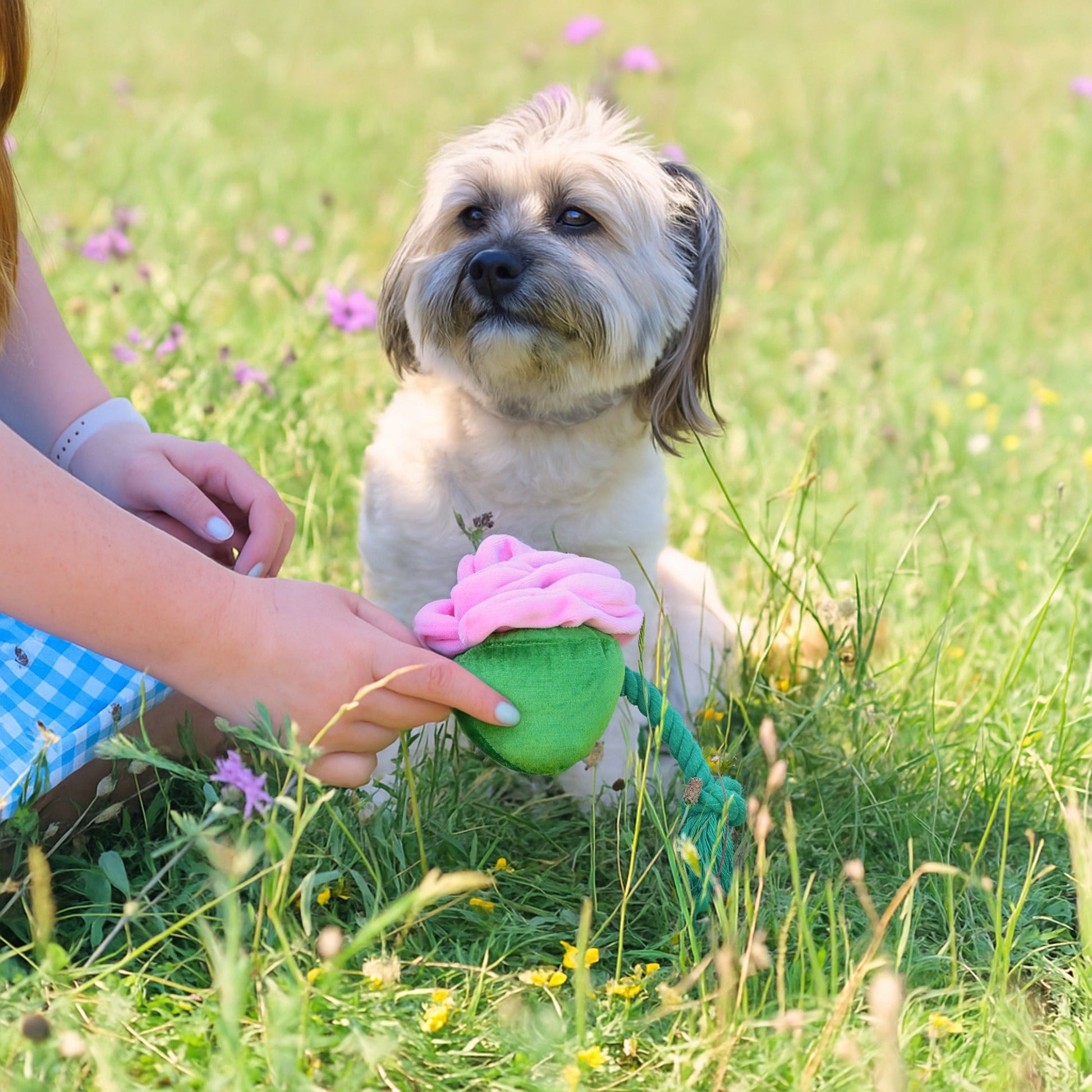 Cath Kidston Dolly Rose Rope Dog Toy - One Size